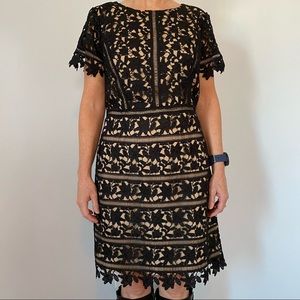 Talbots RSVP Short Sleeve Black Lace Dress 6 Petite EC